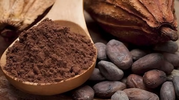 Exportación de cacao y derivados