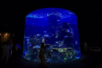 El Gran Acuario Mar de