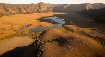 El vulcanismo local y la