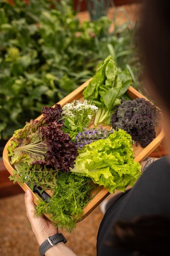 Guido Casalinuovo ha adoptado una