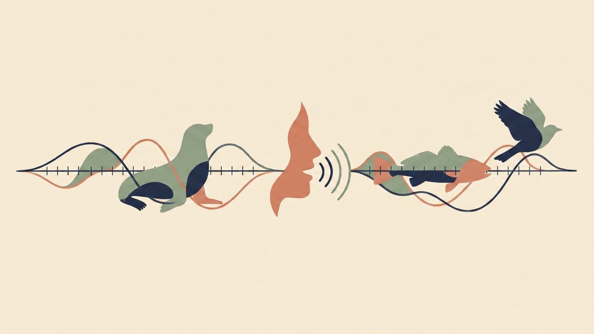 El parámetro beat precision ubicó al habla humana con una mediana de 0,37 entre patrones rítmicos de otras especies (Imagen Ilustrativa Infobae)