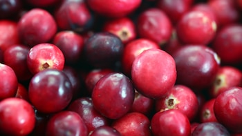 Las bayas: pequeñas frutas cargadas