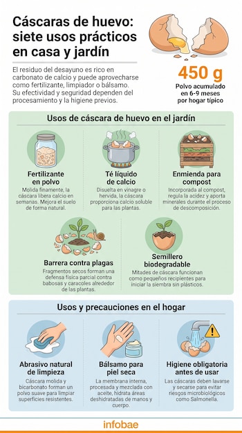Infografía con título sobre siete usos de cáscaras de huevo, mostrando un huevo roto y siete ilustraciones de usos en jardín y hogar, junto a texto y logo Infobae.