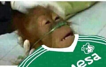 Los mejores memes que dejó