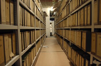 Imagen 3W6SO3CKOVGQ5E5SL2MXI63LKY