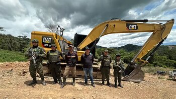 Más de 8.000 árboles fueron