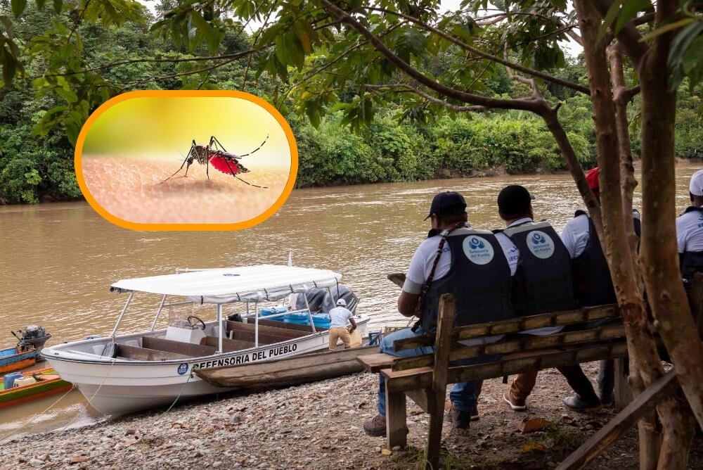 Defensoría hace llamado al Gobierno por brote de malaria en comunidad indígena del Chocó - crédito Shutterstock/Defensoría del Pueblo