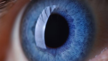 La contaminación del aire está relacionada con mayores probabilidades de glaucoma y cataratas