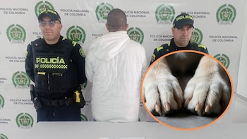 Un perro rescatado murió baleado en Manizales y su dueño resultó herido: el hombre es investigado