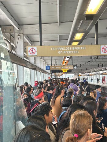 Avance en tiempo real de