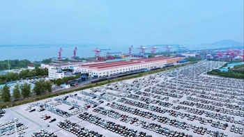 Navidad 2024: conocida marca ofrece