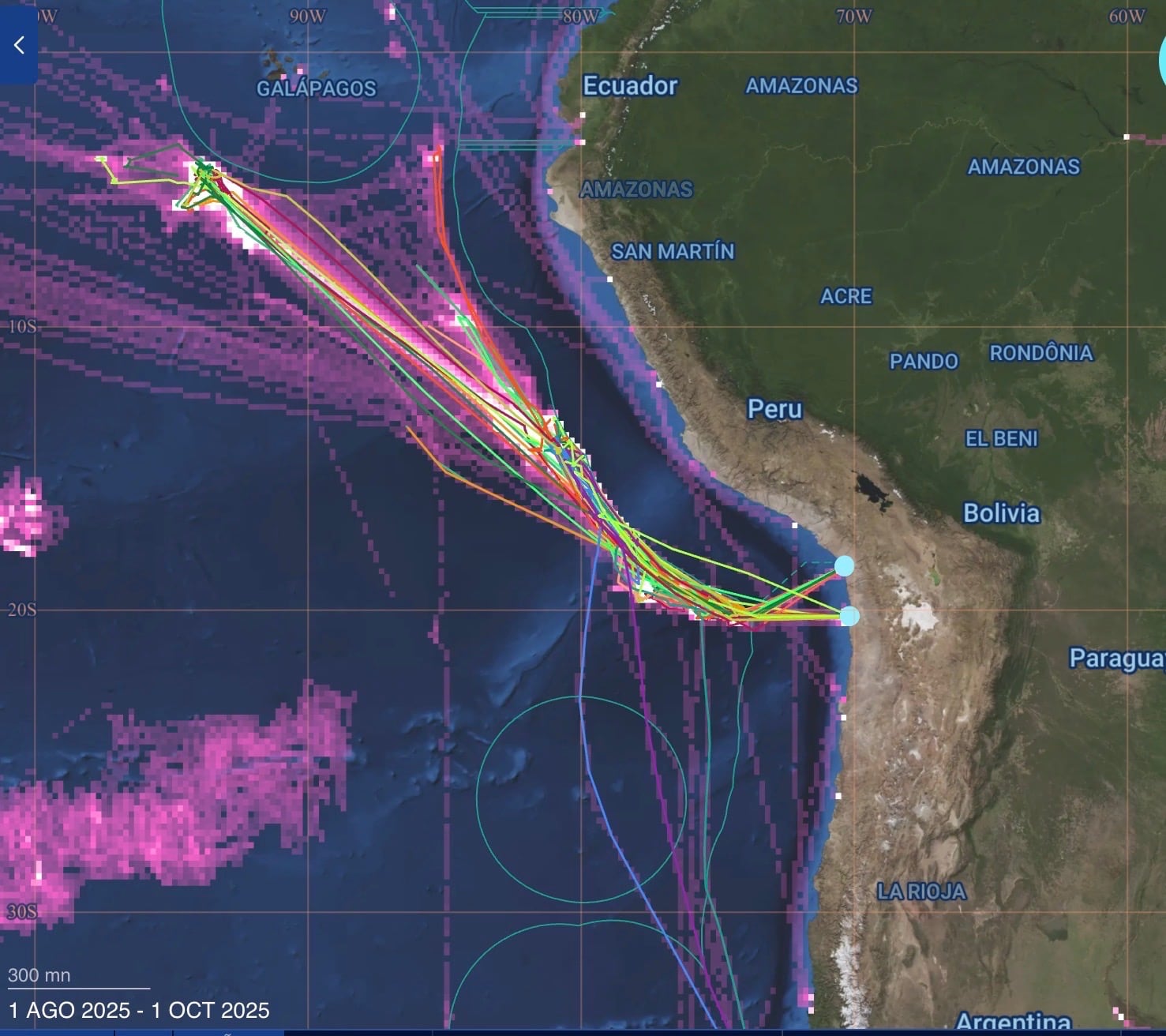 Trazabilidad de los barcos chinos en los puertos de Chile. (Cortesía de Milko Schvartzman)