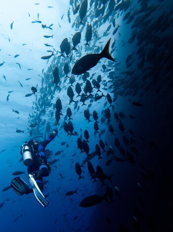 Karlos Simón buceando den Revillagigedo,