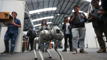 Indecopi abre la quinta convocatoria