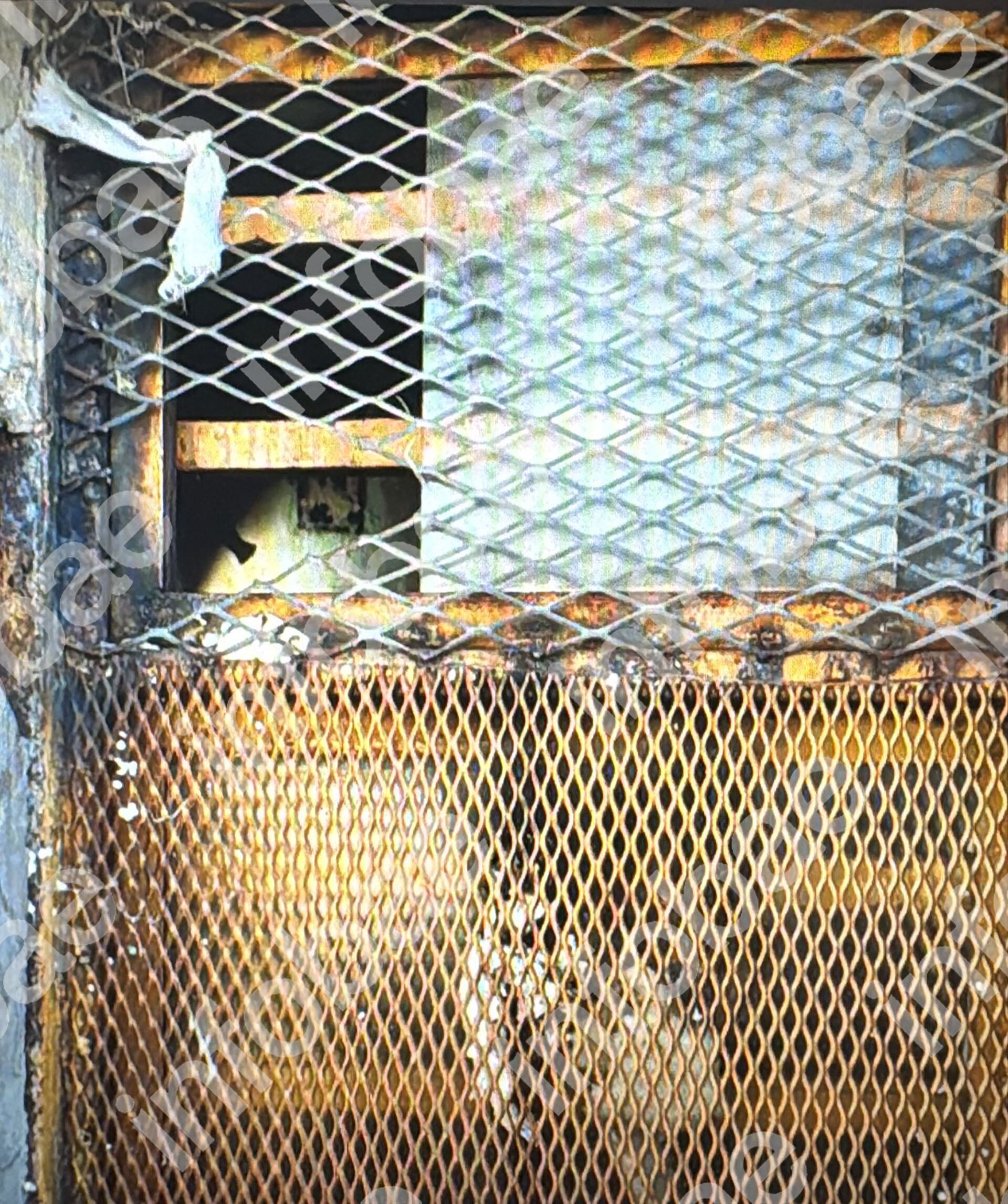 Los incendios son un método recurrente de los presidiarios