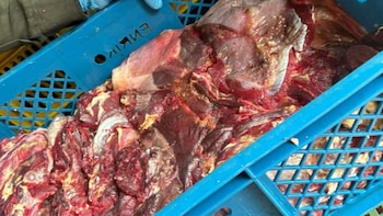 La Secretaría de Salud de