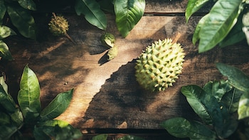 5 maneras de consumir guanábana