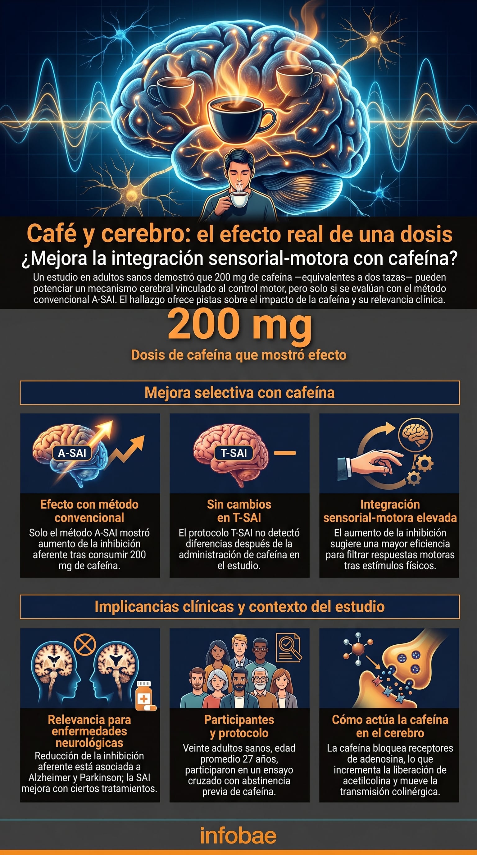 La cafeína puede incrementar la eficiencia de los mecanismos sensoriales y motores en el cerebro de adultos jóvenes (Imagen Ilustrativa Infobae)