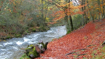 Cuatro rutas de senderismo en Madrid que no te puedes perder este otoño: un bosque al estilo nórdico, un hayedo protegido y una cascada