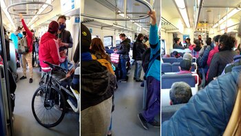 Coronavirus en Argentina: así se