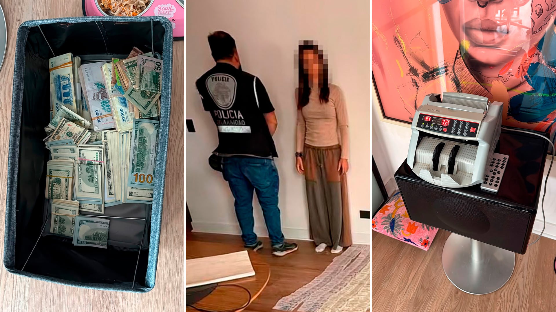 En el allanamiento al departamento de tres ambientes de Vicente López se secuestraron casi $10 millones, 56 mil dólares y una máquina para contar dinero