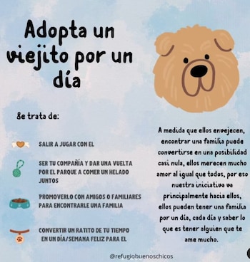 Refugio Buenos Chicos busca que