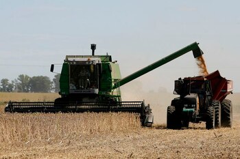 La soja de primera ya