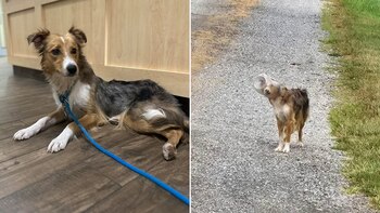 La complicada operación con drones