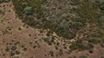 Seis medios aéreos trabajan en la extinción de un incendio forestal en Pozuelo de Zarzón (Cáceres)
