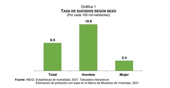 Tasa de Suicidios por sexo