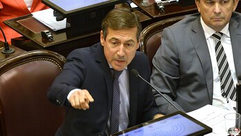 Luis Naidenoff presidente del interbloque