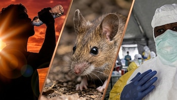 México lanza tres alertas epidemiológicas a un mes del Mundial: golpe de calor, hantavirus y ébola en el radar