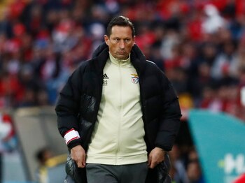 Roger Schmidt, DT del Benfica