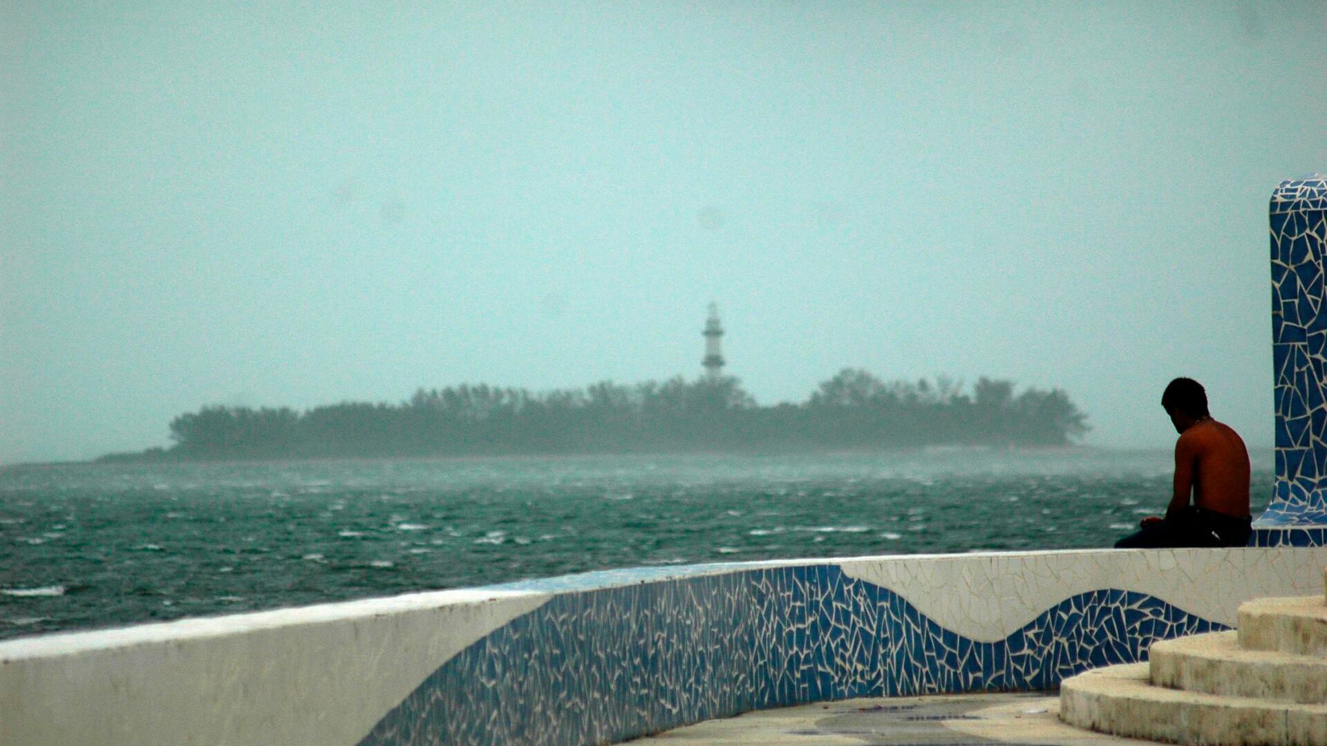 El puerto de Veracruz es uno de los principales destinos turísticos del estado debido a su riqueza histórica y gastronómica. (Cuartoscuro)