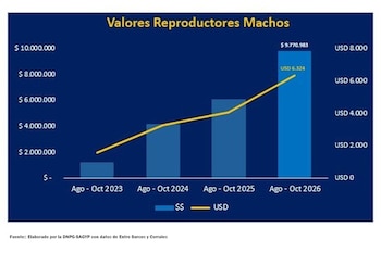 Precio de los reproductores bovinos machos. Serie histórica.