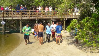 Elementos de Protección Civil atendieron