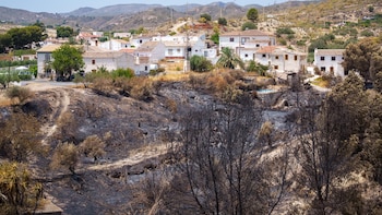 ONU lamenta el "inmenso coste humano" de los "devastadores" incendios en España y Portugal