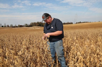 Aunque por debajo de otros