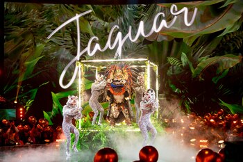 Werevertumorro, el famoso detrás de