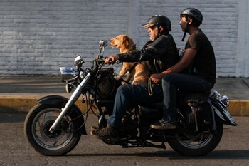 Las opciones de seguro varían