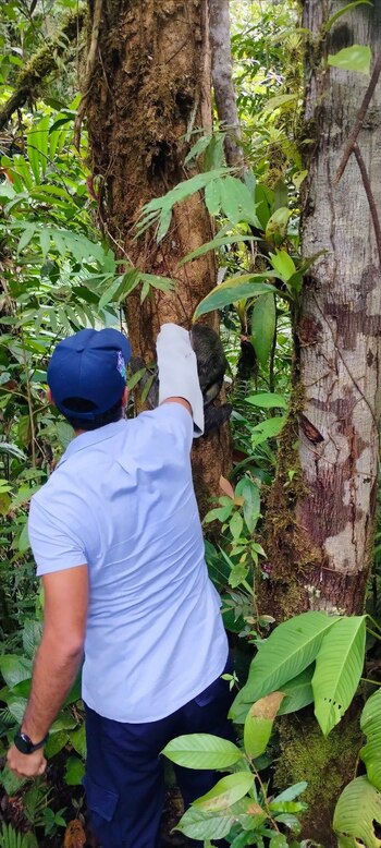 La comunidad de Buenaventura rescató