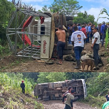 Camión marca DUTRO volcado sobre camino de tierra. Varias personas y un perro observan. Abundante vegetación, árboles y cultivos rodean la escena