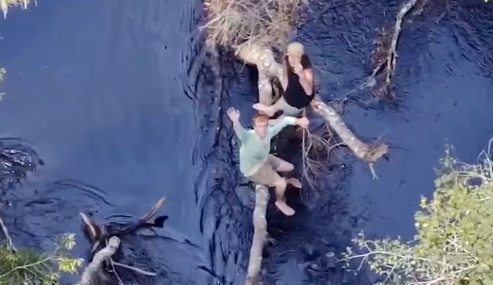 Rescate al límite en Florida: dos navegantes quedaron sobre un árbol tras volcar su bote
