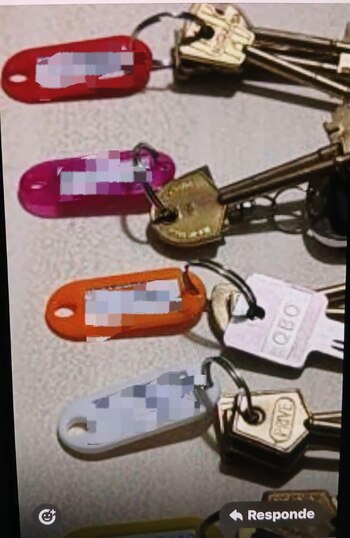 Copiaban las llaves de las casas de los clientes de un garaje para robarles y son siete los detenidos