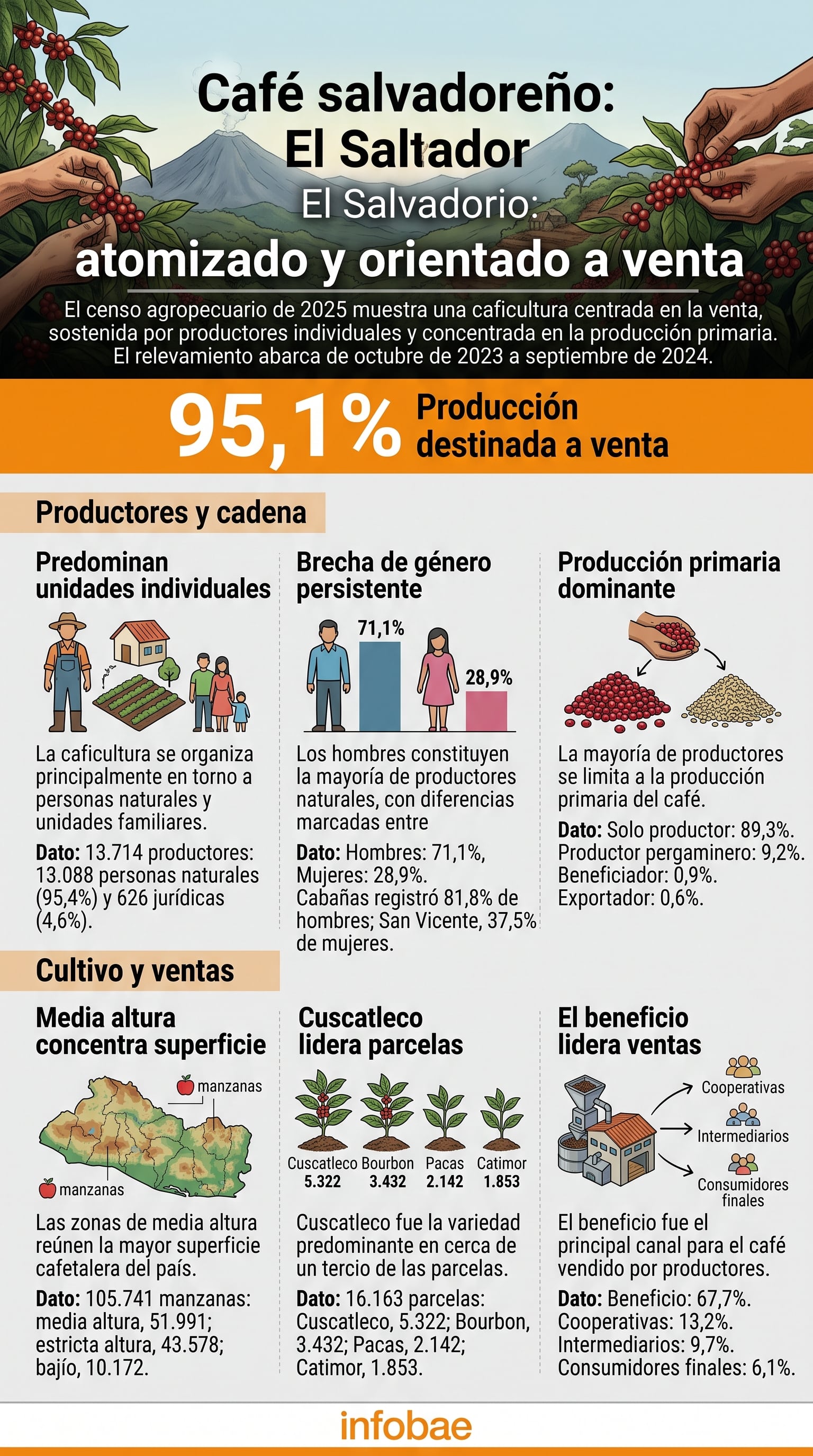 El V Censo Agropecuario de El Salvador indica que el 95,1 % de la producción nacional de café se destina a la venta y es sostenida mayoritariamente por productores individuales. (Imagen Ilustrativa Infobae)