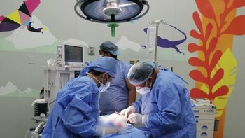 El proyecto también contempla que