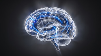 Cerebro humano translúcido de perfil, con flujos de luz azul y blanca en su interior, y un parche flexible con luces encendidas en su lado izquierdo.