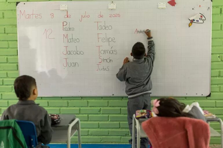 El informe Panorama de la Educación 2025 de la Ocde revela los avances y rezagos de Colombia en educación superior - crédito Unicef Colombia