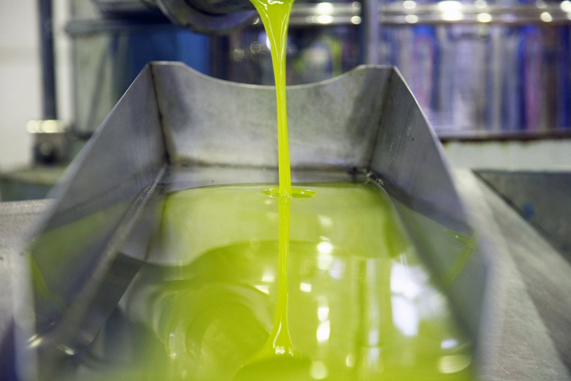 Aceite en almazara.
