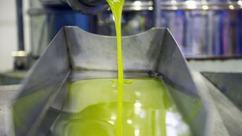 El aceite de oliva tunecino copa el mercado: las importaciones del extranjero se disparan un 84% mientras cae la producción en España